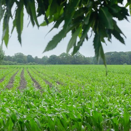 Hermans Huisje: Het Mooiste Uitzicht Van Twente? Haaksbergen Kültér fotó