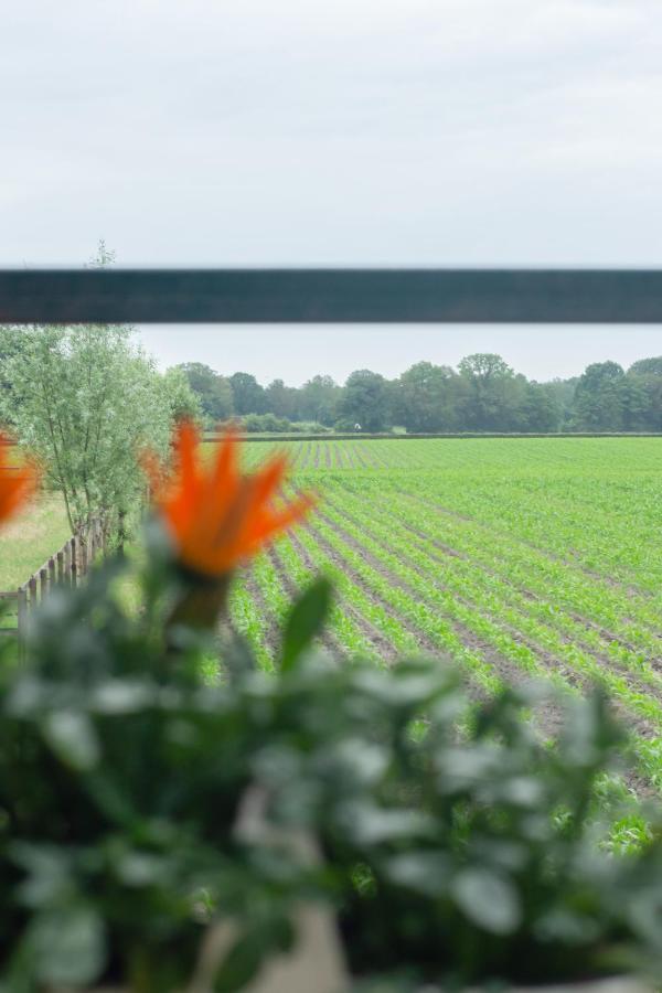 Hermans Huisje: Het Mooiste Uitzicht Van Twente? Haaksbergen Kültér fotó